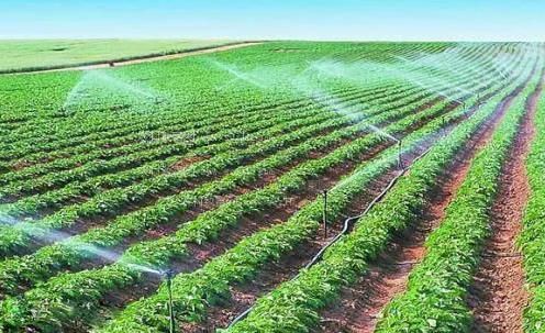 操逼插APP农田高 效节水灌溉